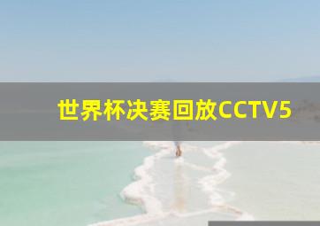 世界杯决赛回放CCTV5