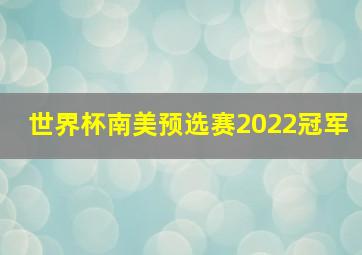 世界杯南美预选赛2022冠军