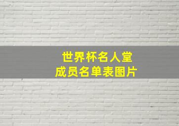 世界杯名人堂成员名单表图片