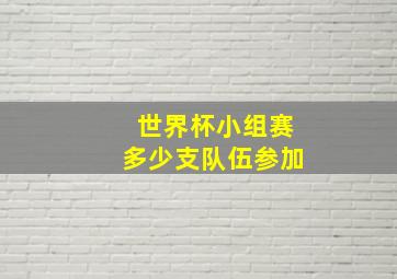 世界杯小组赛多少支队伍参加