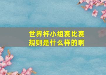 世界杯小组赛比赛规则是什么样的啊