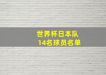 世界杯日本队14名球员名单