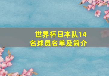 世界杯日本队14名球员名单及简介