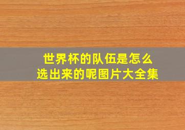 世界杯的队伍是怎么选出来的呢图片大全集