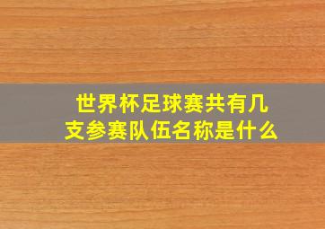 世界杯足球赛共有几支参赛队伍名称是什么