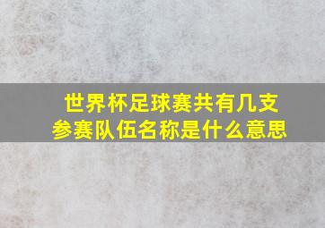 世界杯足球赛共有几支参赛队伍名称是什么意思