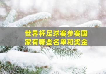 世界杯足球赛参赛国家有哪些名单和奖金