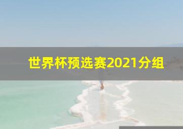 世界杯预选赛2021分组