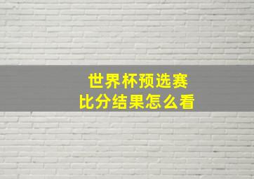 世界杯预选赛比分结果怎么看