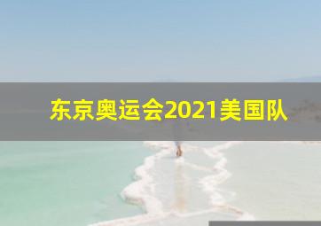 东京奥运会2021美国队