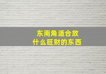 东南角适合放什么旺财的东西