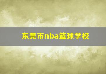 东莞市nba篮球学校