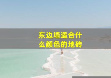 东边墙适合什么颜色的地砖