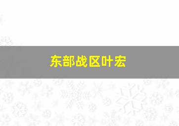 东部战区叶宏