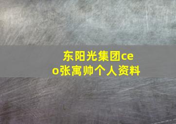 东阳光集团ceo张寓帅个人资料