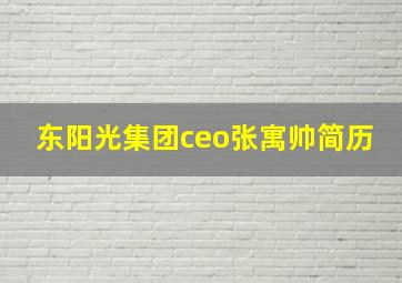 东阳光集团ceo张寓帅简历