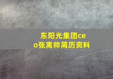 东阳光集团ceo张寓帅简历资料