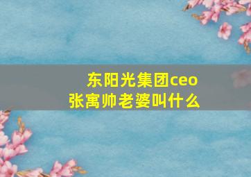 东阳光集团ceo张寓帅老婆叫什么