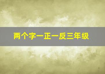 两个字一正一反三年级