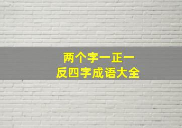 两个字一正一反四字成语大全