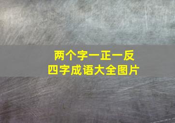 两个字一正一反四字成语大全图片