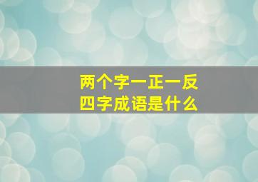 两个字一正一反四字成语是什么