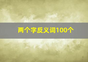 两个字反义词100个