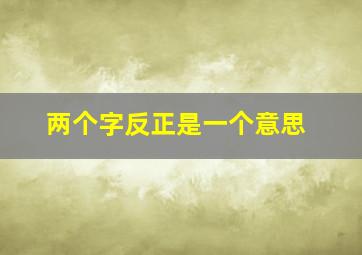 两个字反正是一个意思