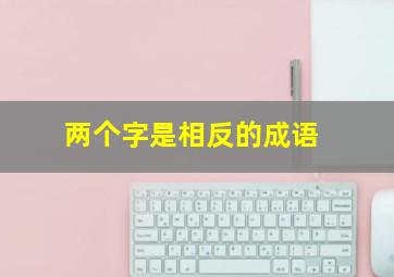 两个字是相反的成语