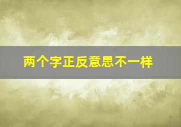 两个字正反意思不一样