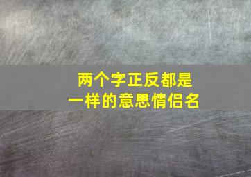 两个字正反都是一样的意思情侣名