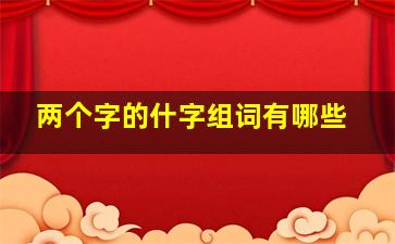 两个字的什字组词有哪些