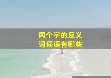 两个字的反义词词语有哪些