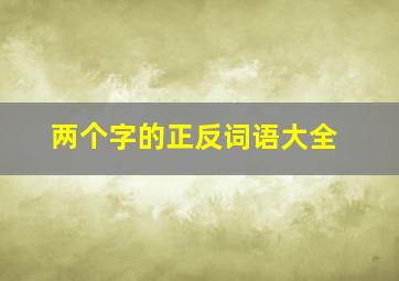 两个字的正反词语大全