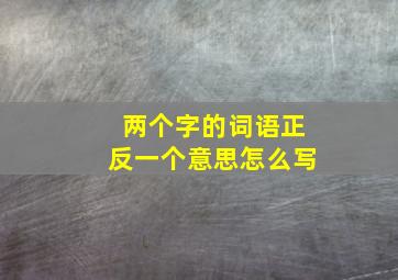 两个字的词语正反一个意思怎么写