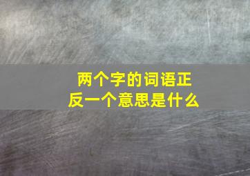 两个字的词语正反一个意思是什么