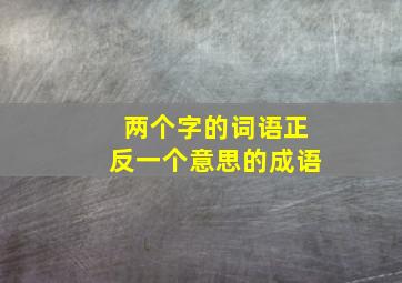 两个字的词语正反一个意思的成语