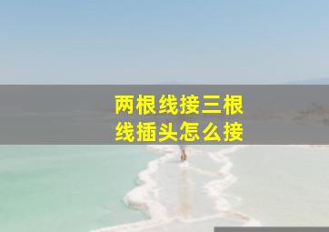 两根线接三根线插头怎么接