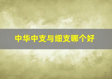 中华中支与细支哪个好