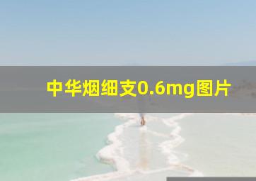 中华烟细支0.6mg图片