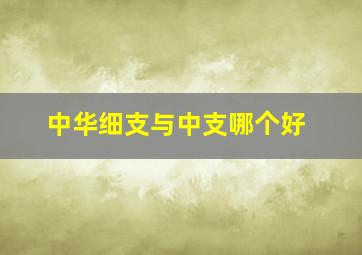 中华细支与中支哪个好