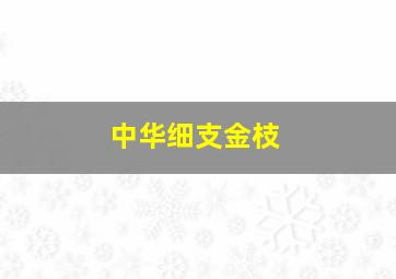 中华细支金枝