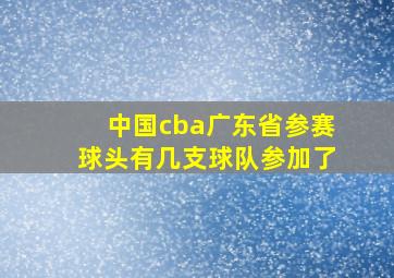 中国cba广东省参赛球头有几支球队参加了