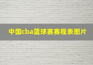 中国cba篮球赛赛程表图片