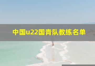 中国u22国青队教练名单