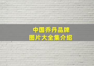 中国乔丹品牌图片大全集介绍