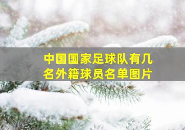 中国国家足球队有几名外籍球员名单图片