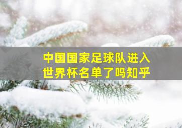 中国国家足球队进入世界杯名单了吗知乎