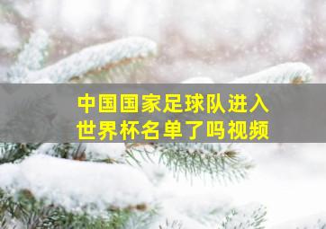 中国国家足球队进入世界杯名单了吗视频