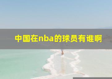 中国在nba的球员有谁啊